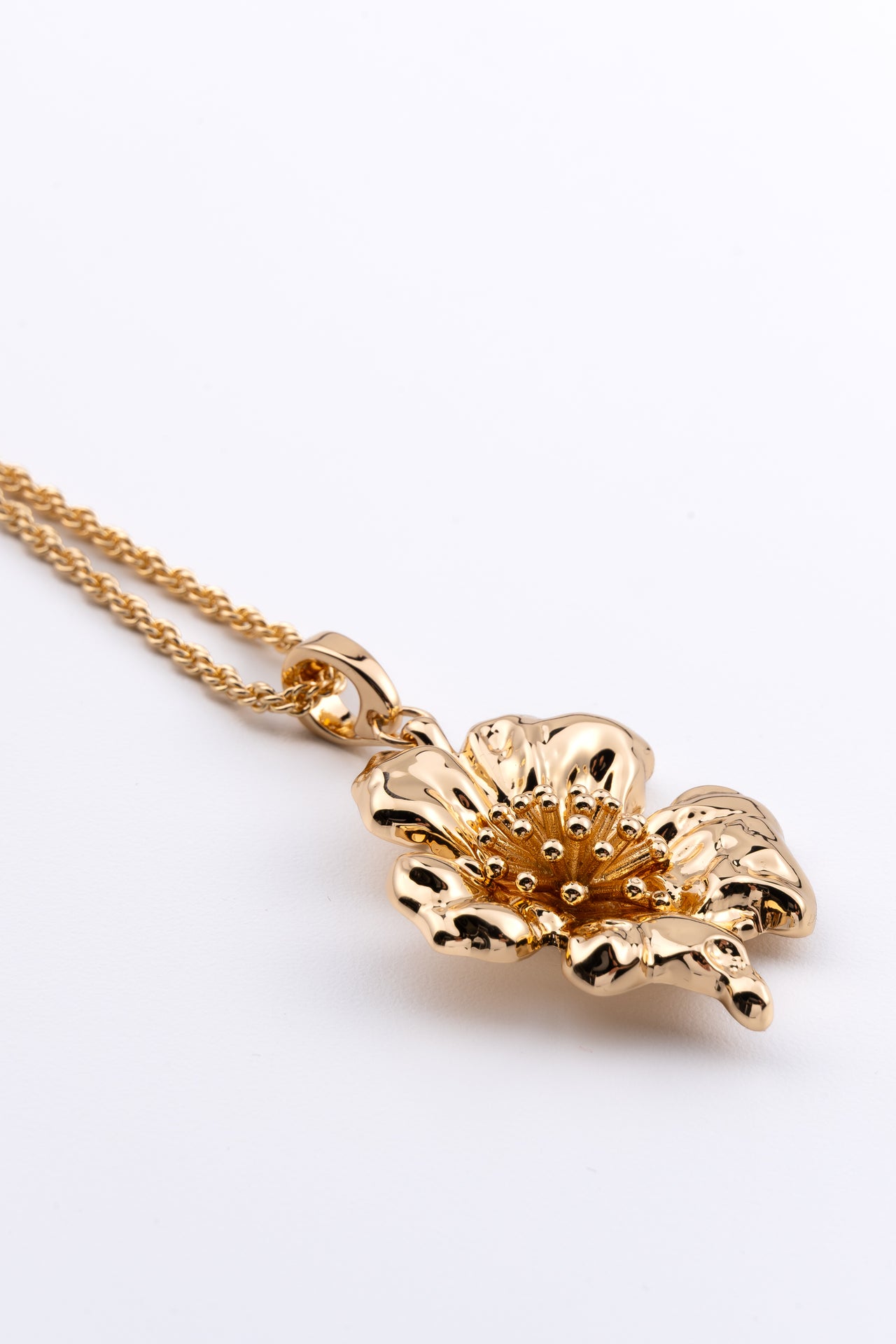 The Lotus